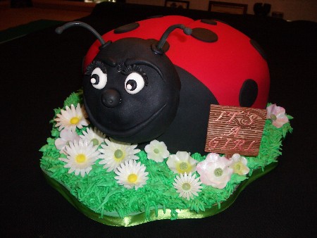 Lady Bug Cake